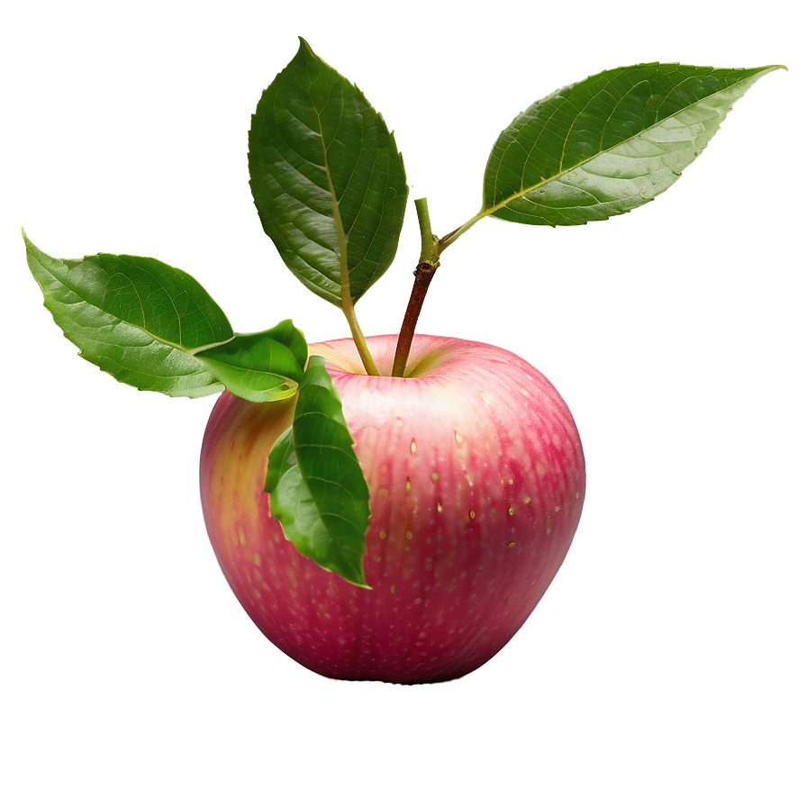 Pink Lady Apple Png 04292024 PNG Image