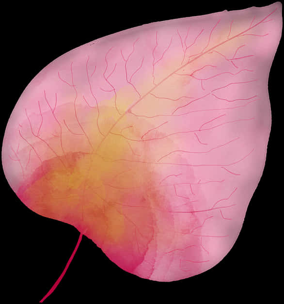 Pink Leaf Artistic Representation PNG Image