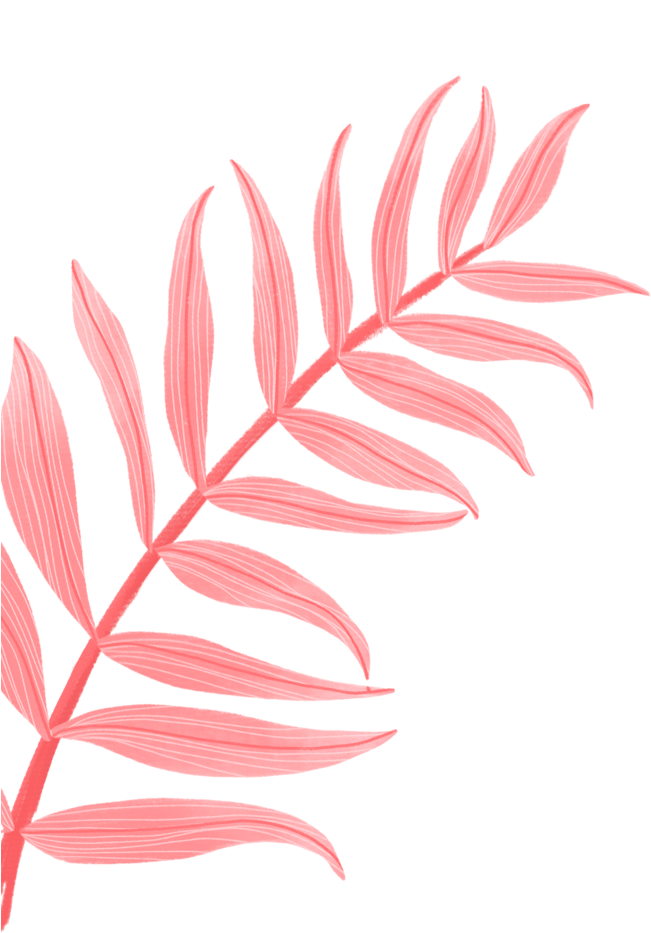 Pink Leaves Illustration PNG Image