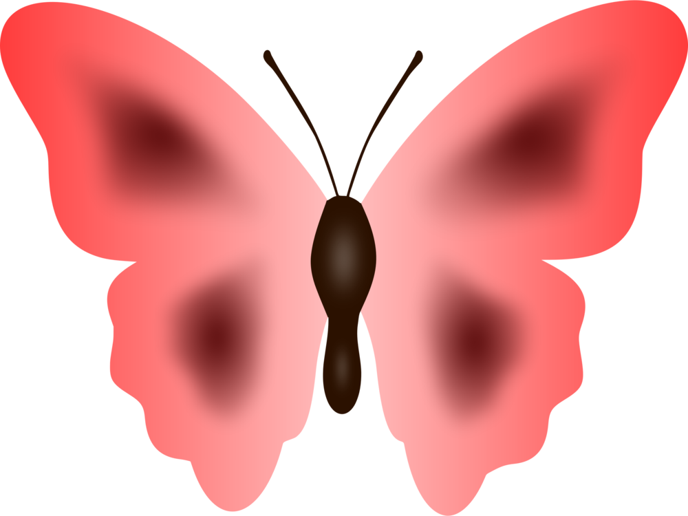 Pink Moth Illustration.png PNG Image