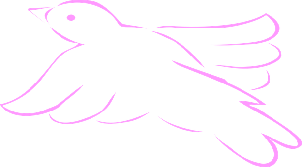 Pink Outlined Bird Silhouette PNG Image