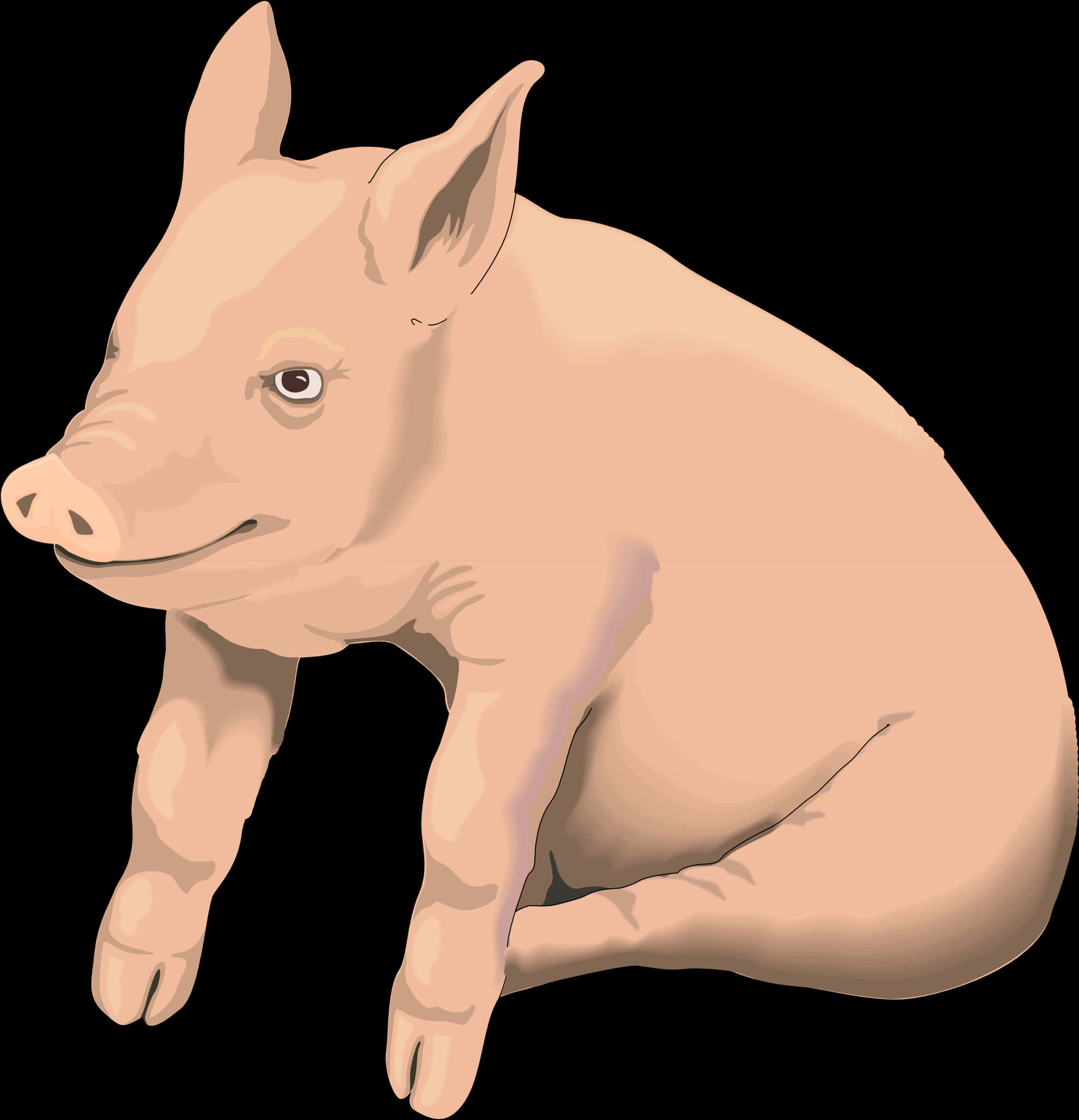 Pink Pig Illustration PNG Image