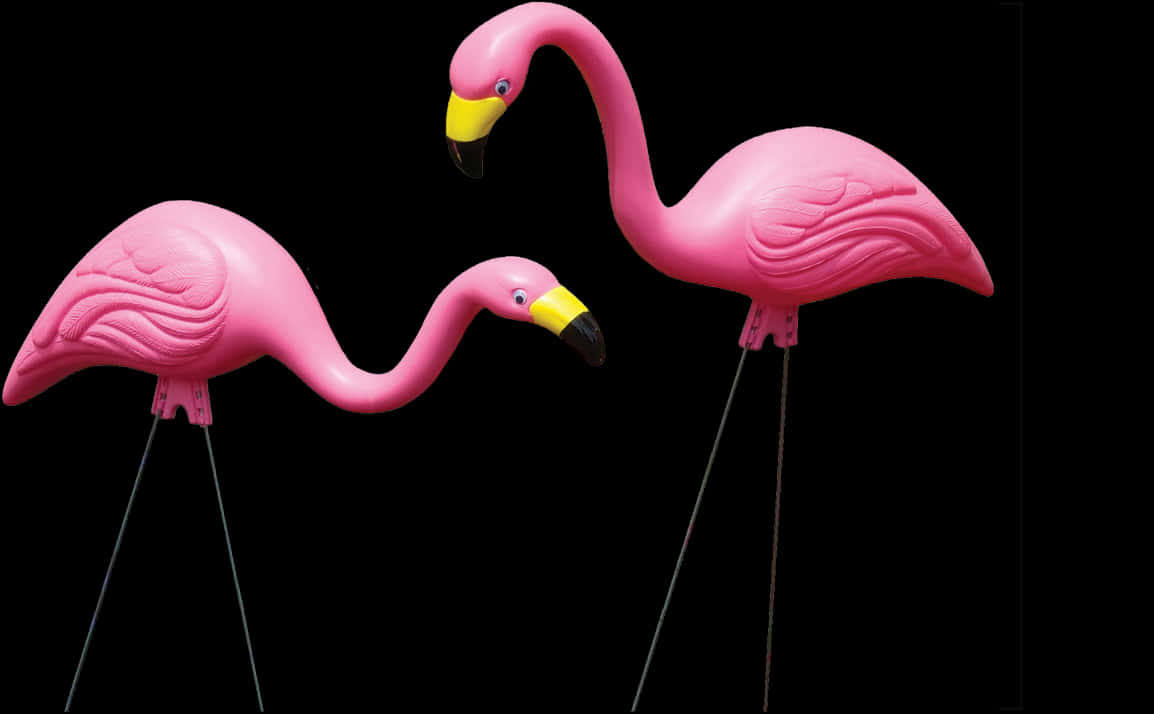 Pink Plastic Flamingos Black Background PNG Image