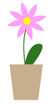 Pink Potted Flower Illustration PNG Image