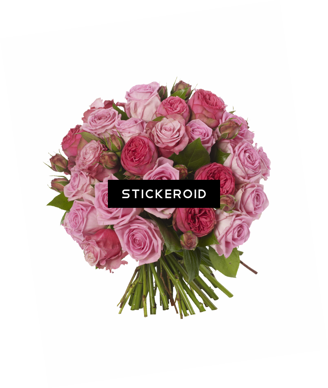 Pink Rose Bouquet Top View PNG Image