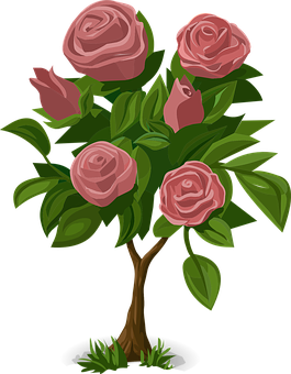 Pink Rose Bush Illustration PNG Image