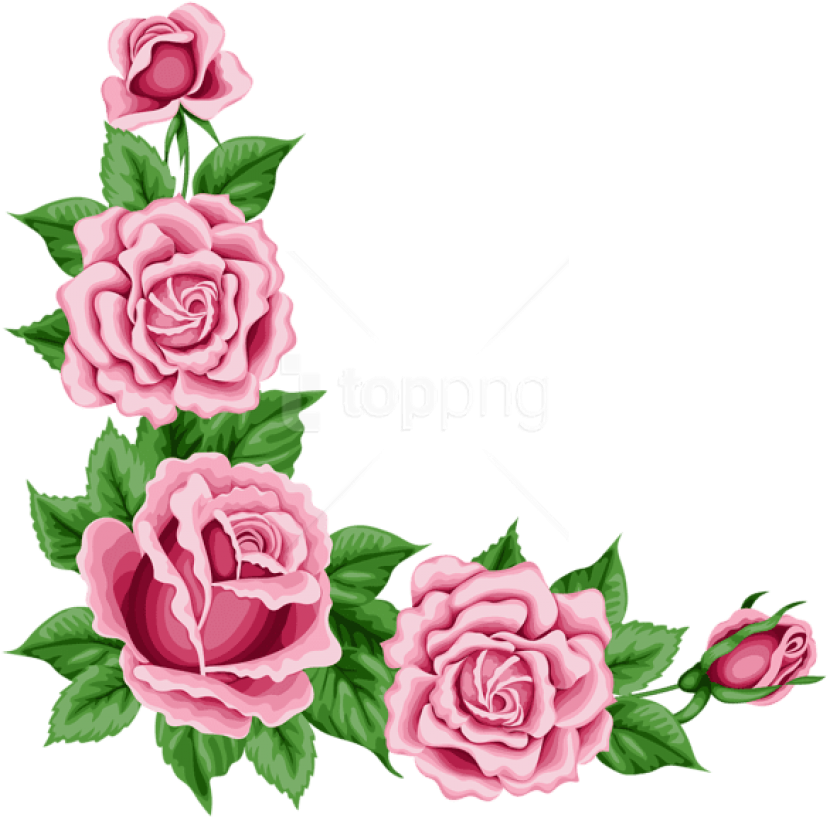 Pink Rose Corner Flower Border PNG Image