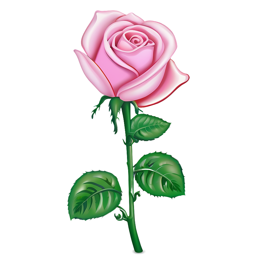 Pink Rose Drawing Png 10 PNG Image