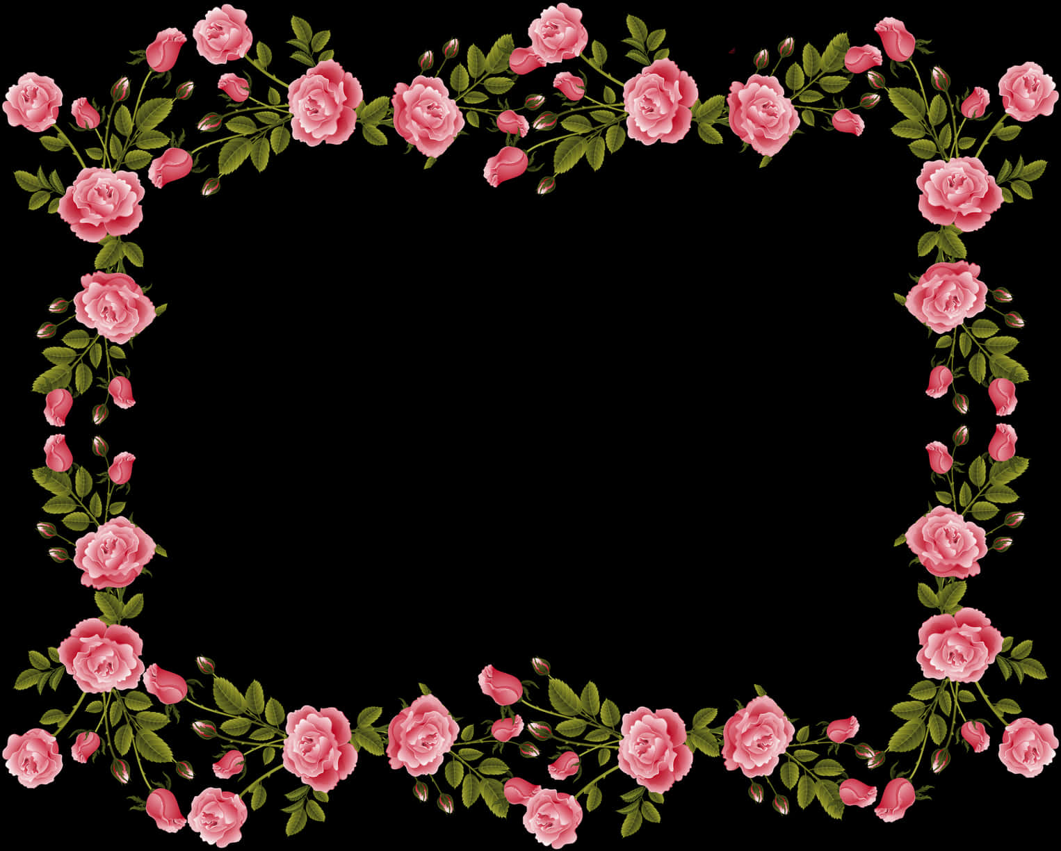 Pink Rose Frameon Black Background PNG Image