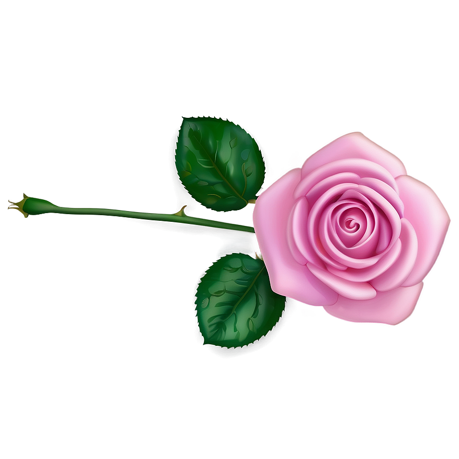 Pink Rose Gift Png Rjv PNG Image