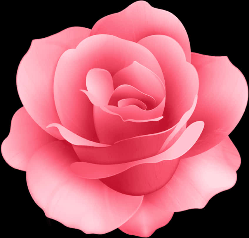 Pink Rose Isolatedon Black Background PNG Image