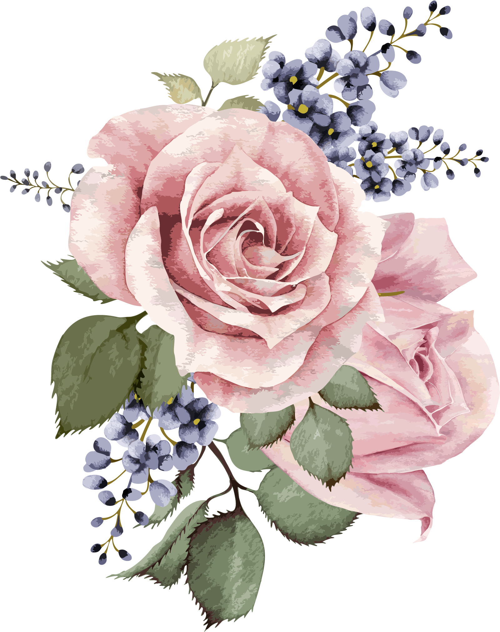 Pink Rose Watercolor Floral Arrangement PNG Image