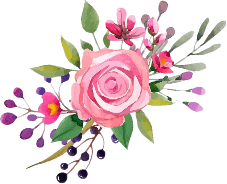 Pink Rose Watercolor Floral Arrangement PNG Image