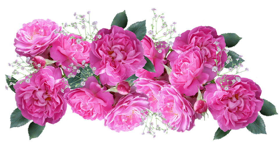 Pink Roses Bouquet Transparent Background PNG Image