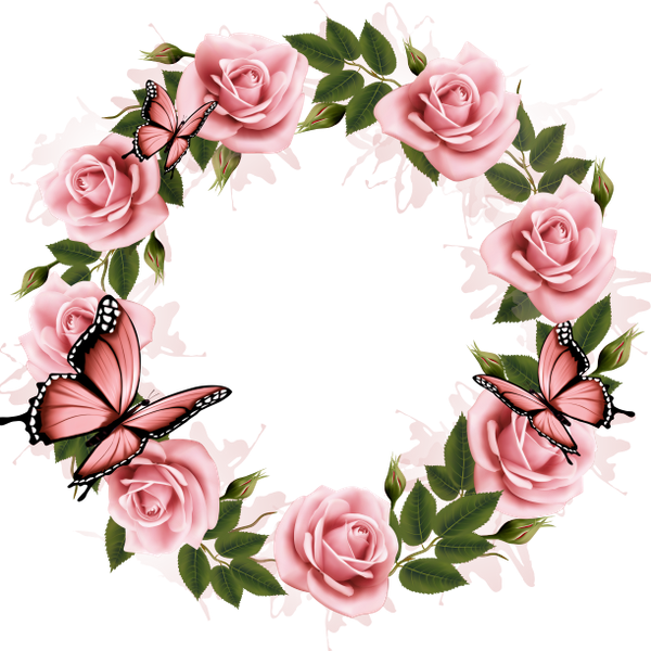 Pink Roses Butterfly Frame PNG Image