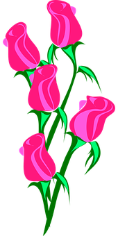 Pink Roses Vector Art PNG Image