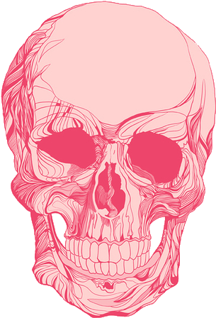 Pink Skull Illustration PNG Image