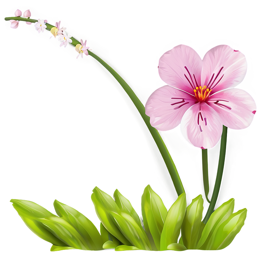 Pink Spring Flower Png Cmr61 PNG Image