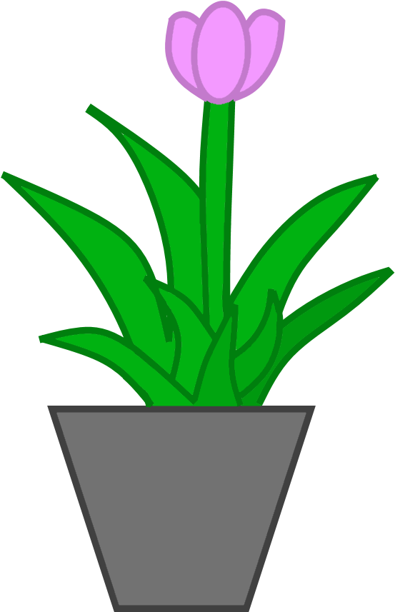 Pink Tulipin Gray Pot Vector PNG Image