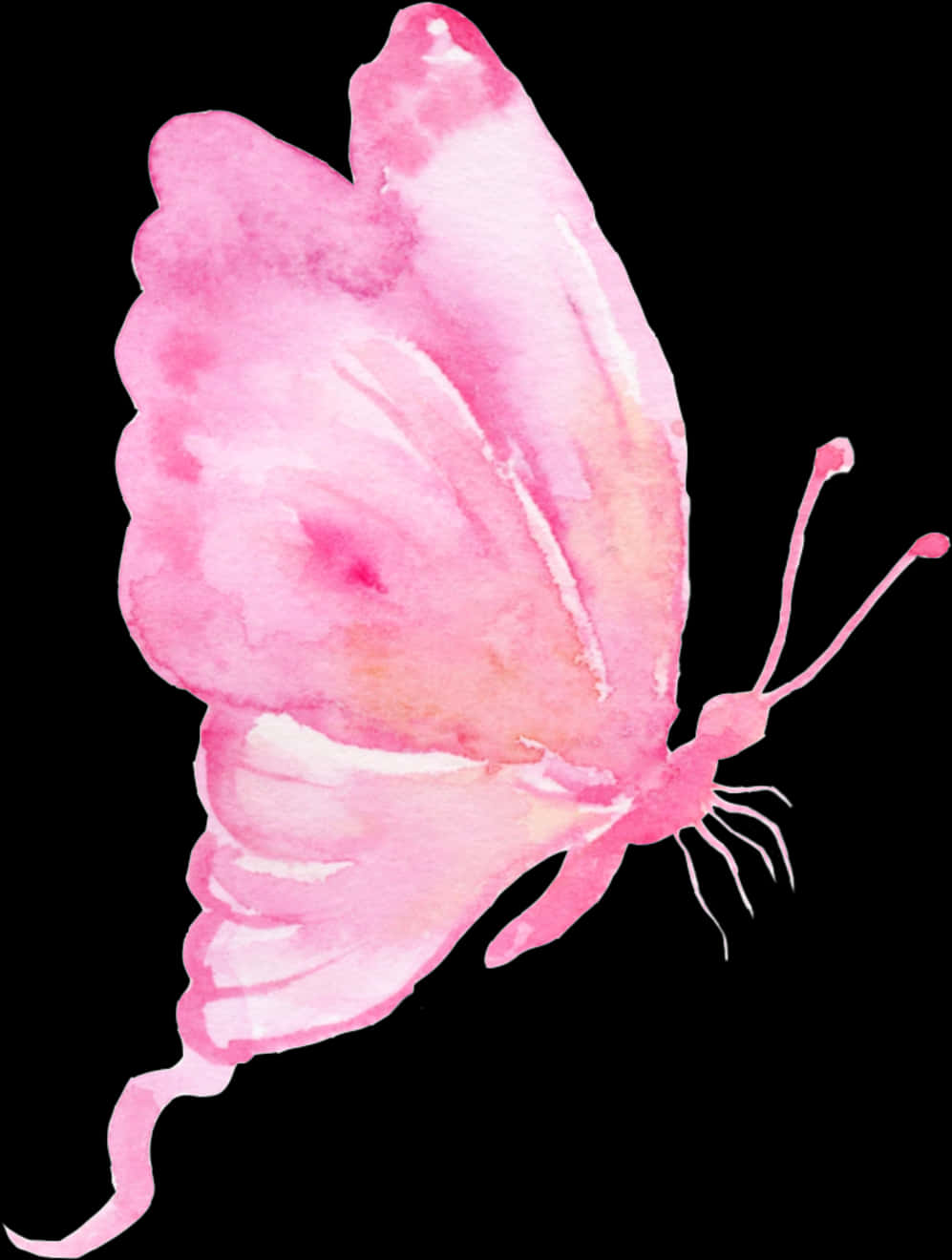 Pink Watercolor Butterfly Art PNG Image