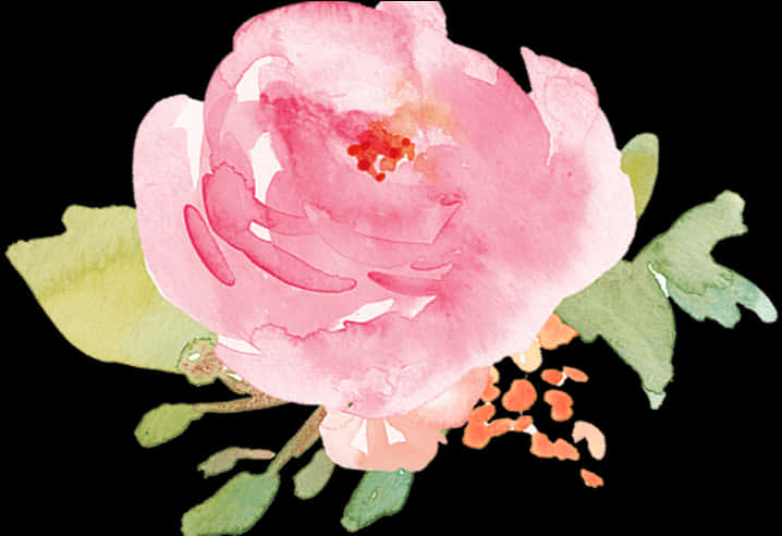 Pink Watercolor Flower Illustration PNG Image