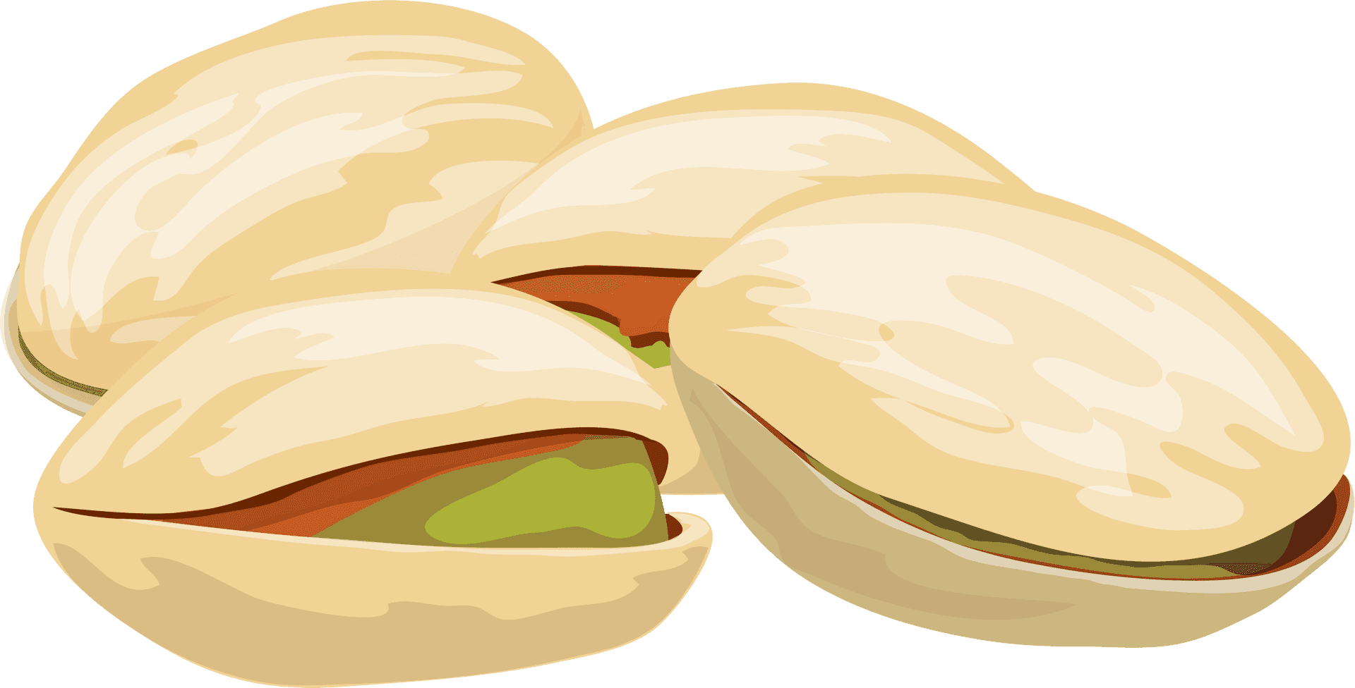 Pistachio Nuts Vector Illustration PNG Image