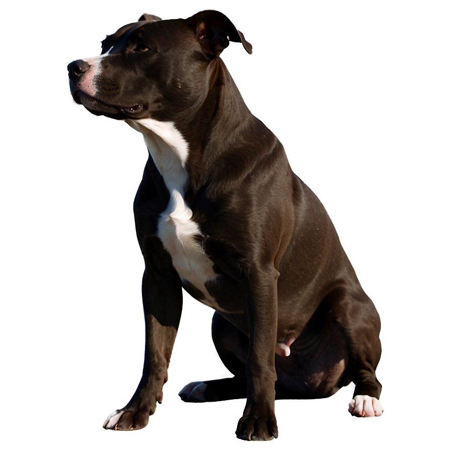 Pitbull Silhouette Png Kkh3 PNG Image