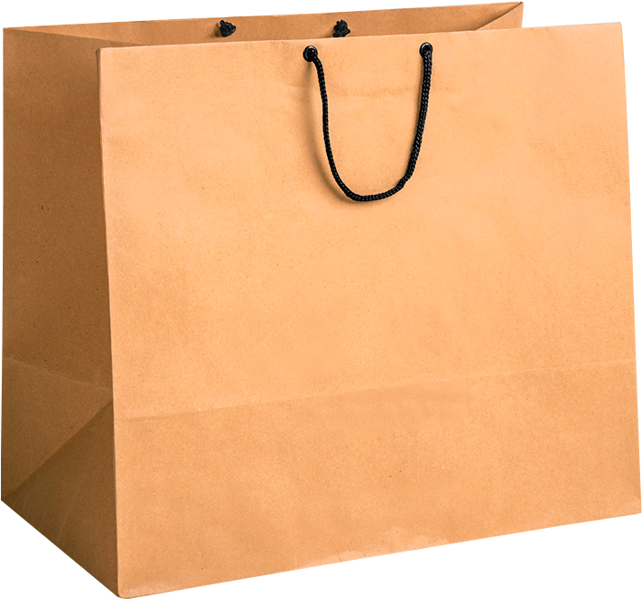 Plain Brown Paper Shopping Bag PNG Image