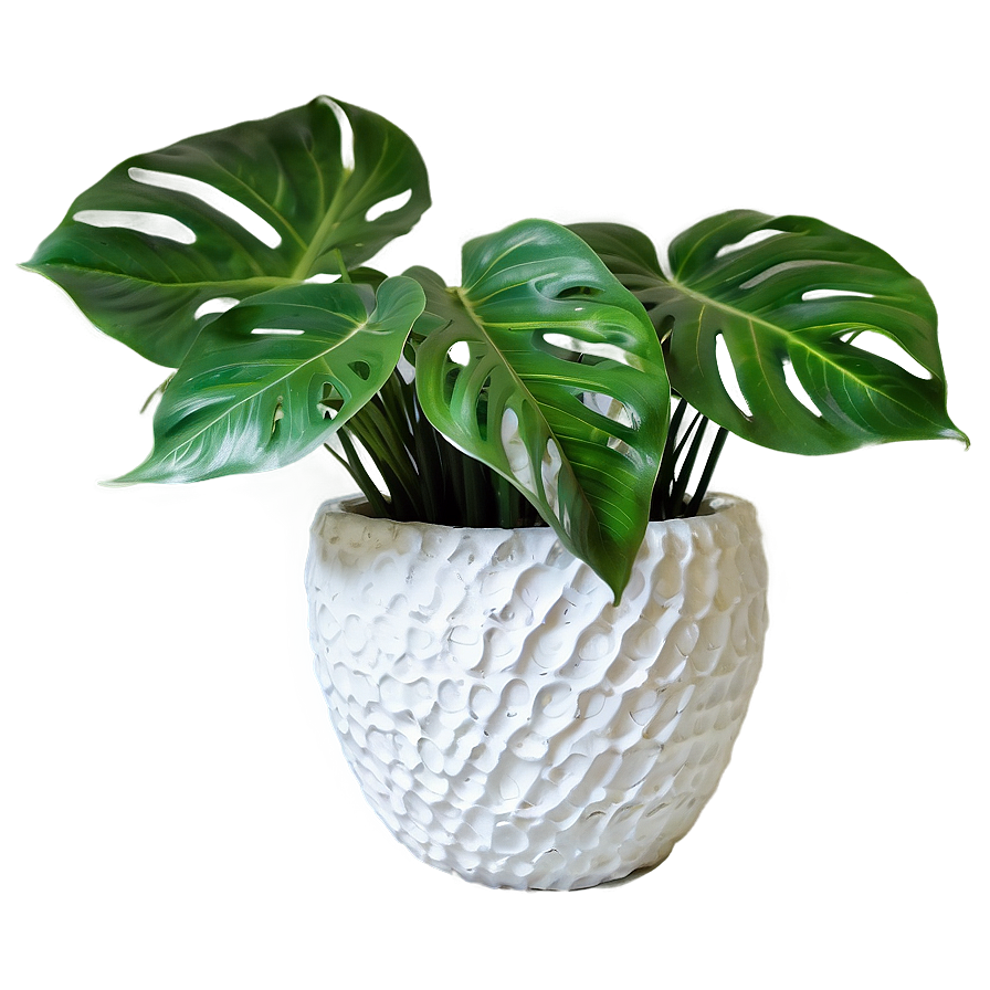 Plant-inspired Home Decor Png Ugt12 PNG Image