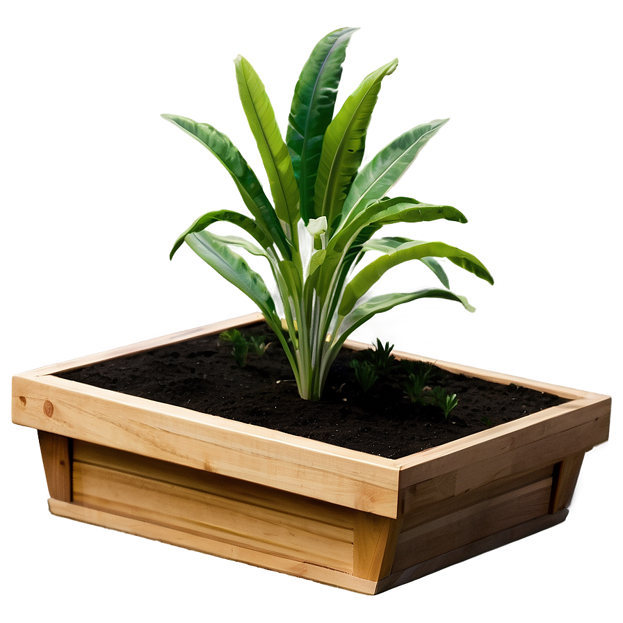 Planter Box C PNG Image