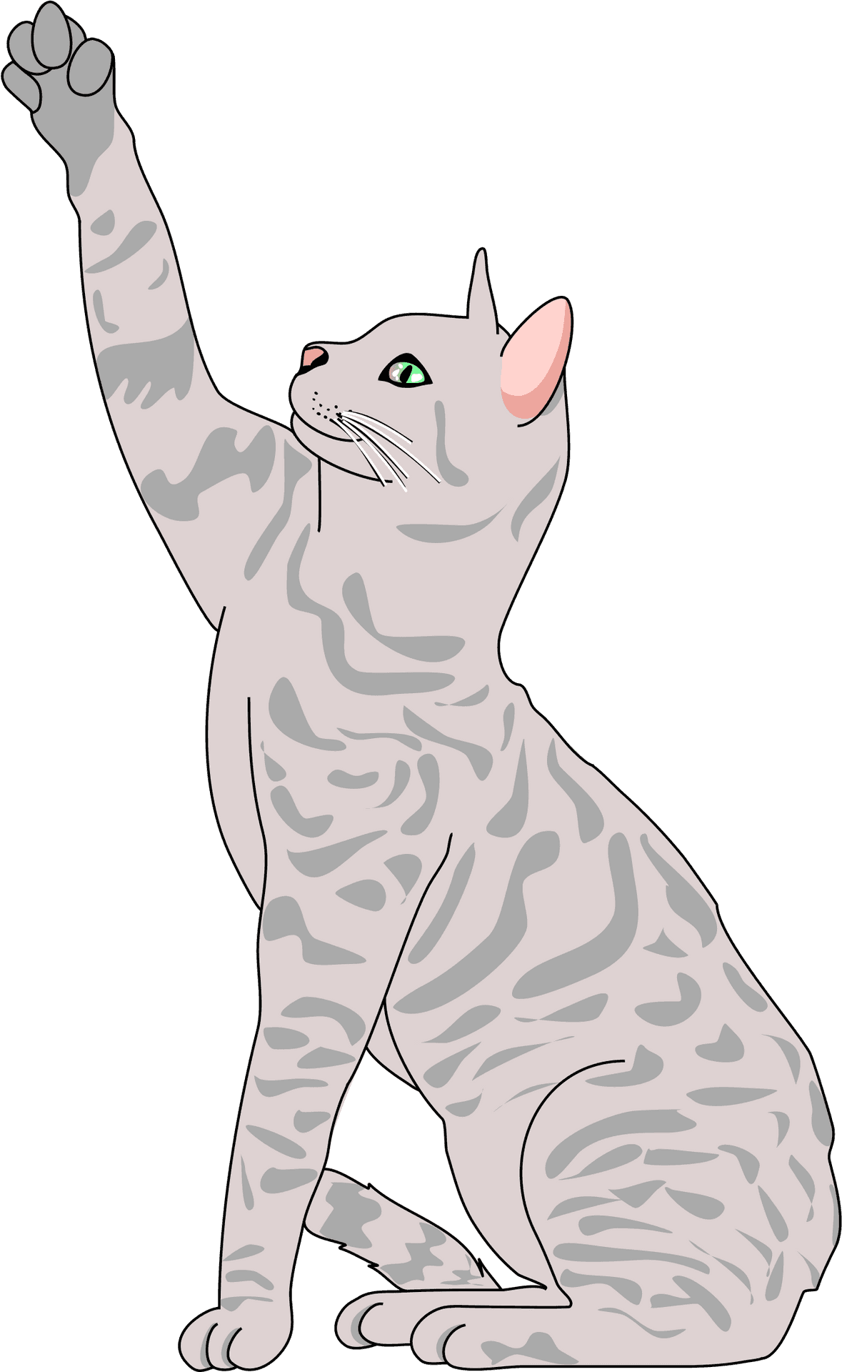 Playful Cat Raising Paw PNG Image