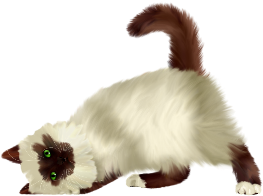 Playful Cat Stretching PNG Image