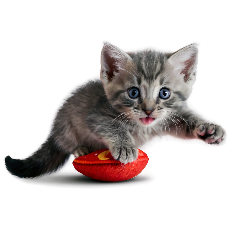 Playful Grey Kitten Png 06252024 PNG Image