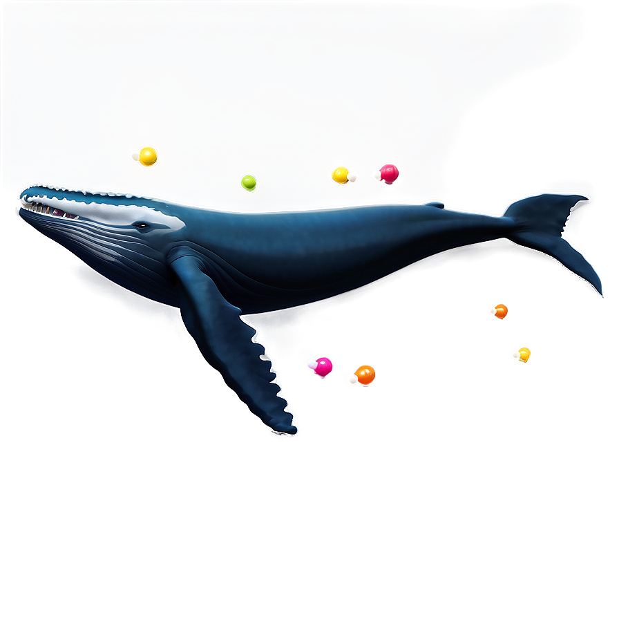 Playful Humpback Whale Png Rok PNG Image