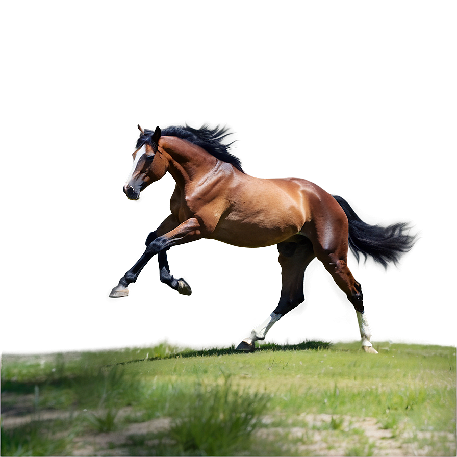 Playful Mustang Horse Scene Png Gex9 PNG Image