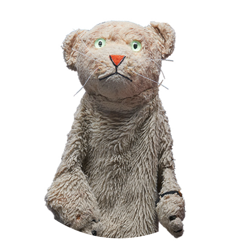 Plush Cat Puppet Portrait PNG Image