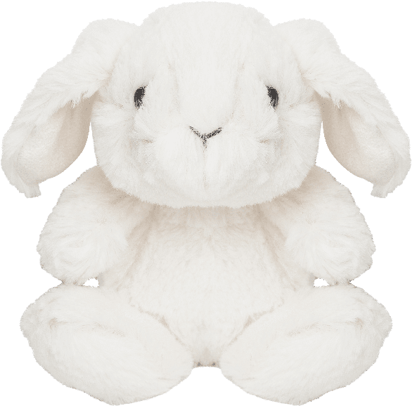 Plush White Bunny Toy PNG Image