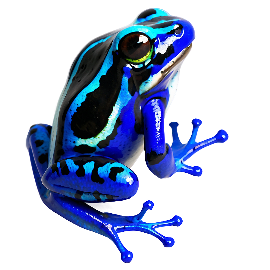 Poison Dart Frog Png Fuu PNG Image