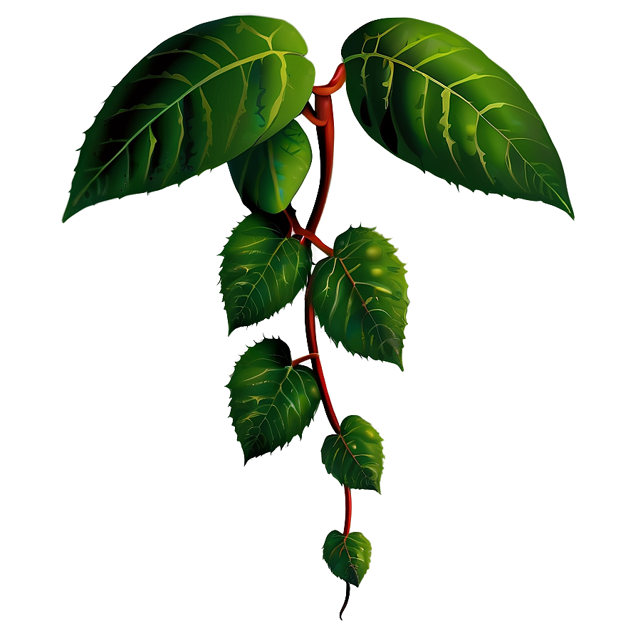 Poison Ivy Illustration Png 4 PNG Image