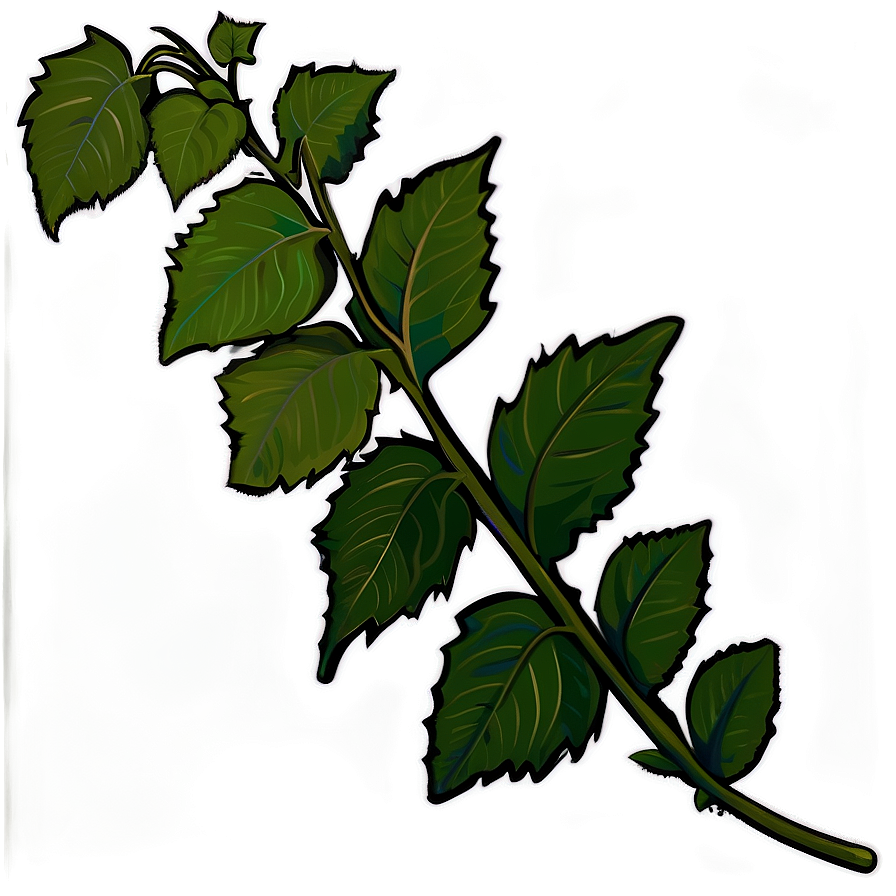 Poison Ivy Plant Png Kix40 PNG Image