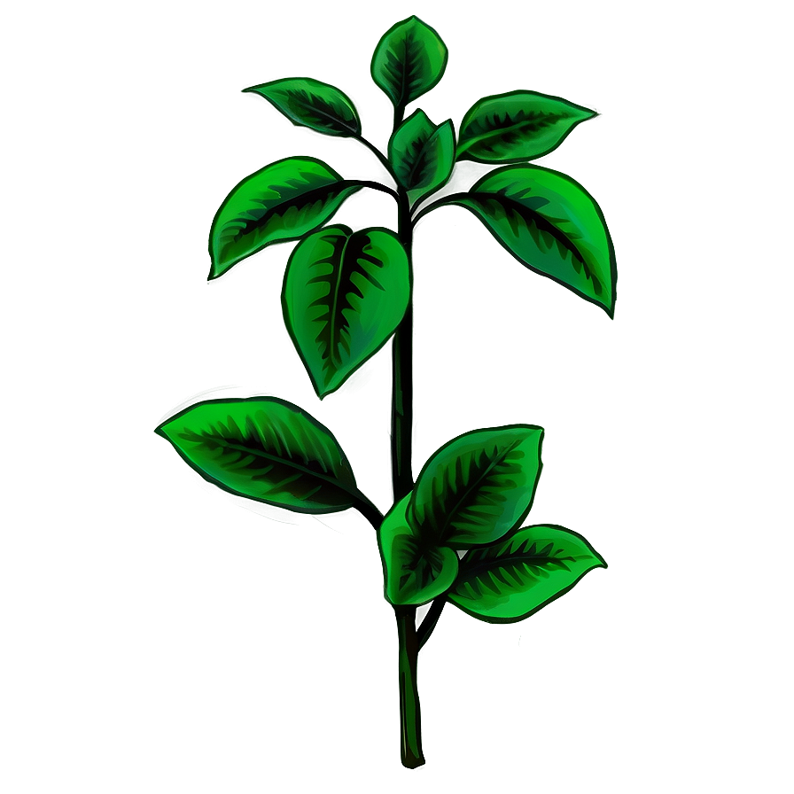 Poisonous Plant Png Jtf44 PNG Image