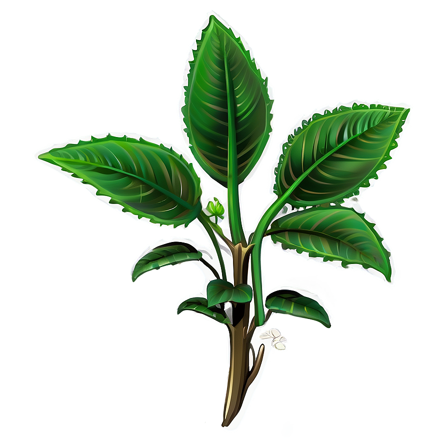 Poisonous Plant Png Vvg PNG Image