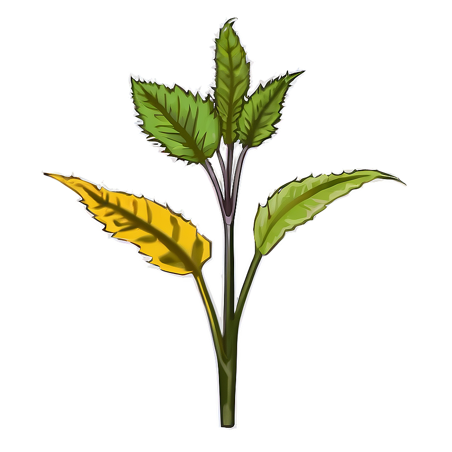 Poisonous Plants Png Awn PNG Image