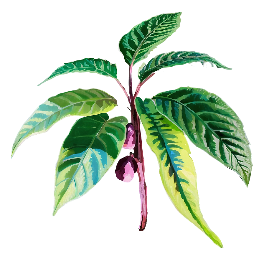 Poisonous Plants Png Ika PNG Image