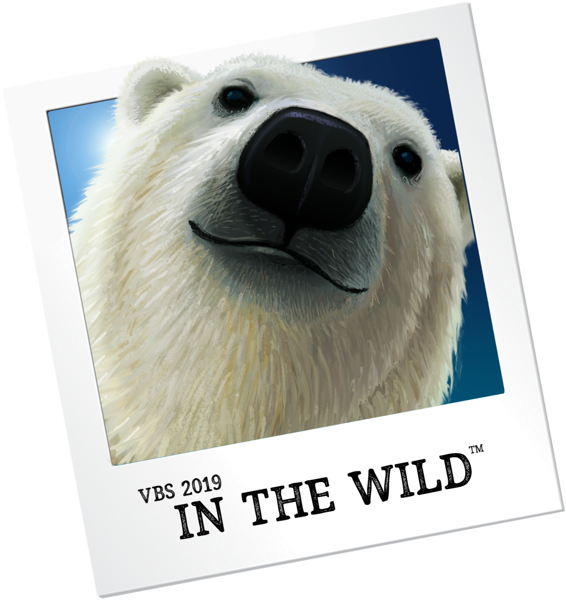 Polar Bear Portrait V B S2019 PNG Image