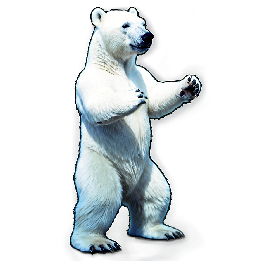 Polar Bear Standing Png Uhn PNG Image