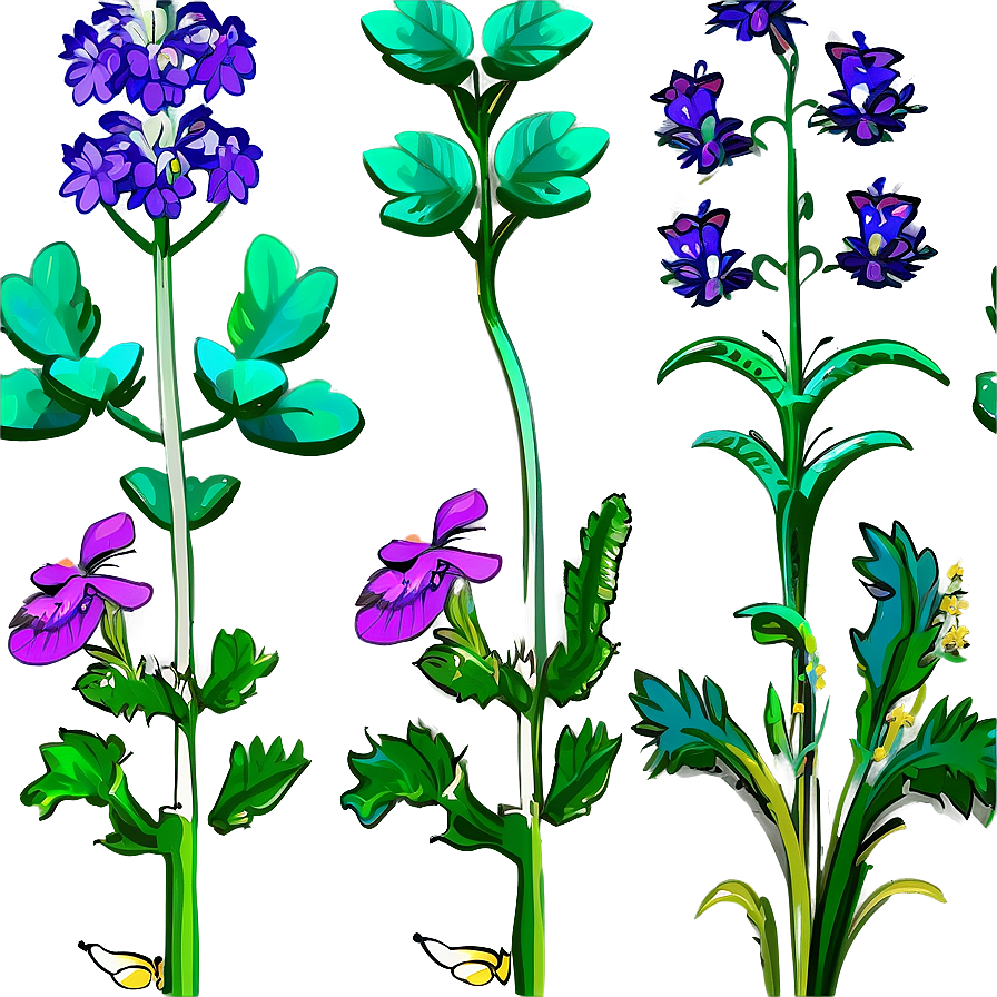 Pollinator Garden Plants Png 49 PNG Image