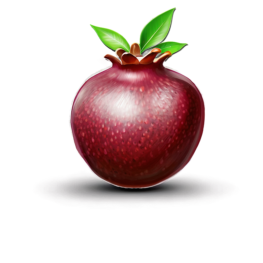 Pomegranate Sketch Png 66 PNG Image