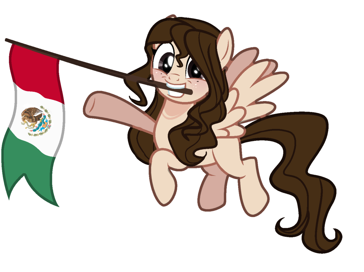 Ponywith Mexican Flag PNG Image