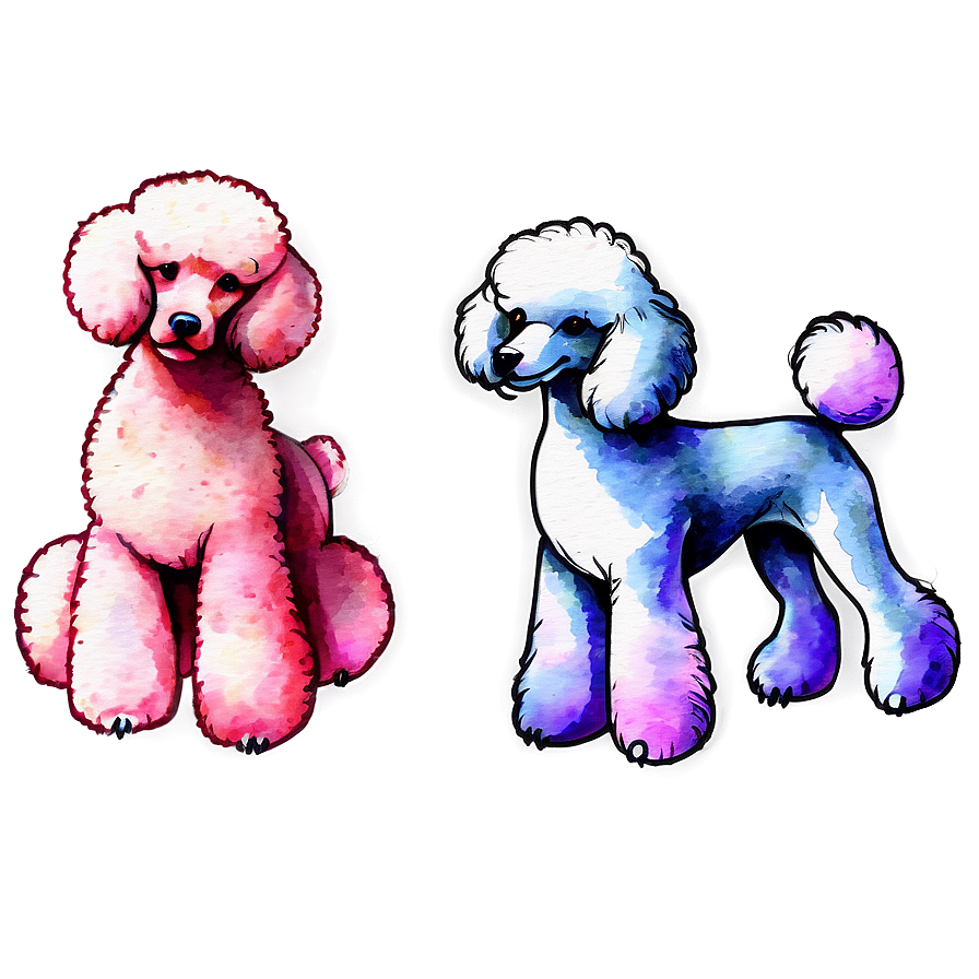 Poodle Watercolor Png Qjg PNG Image